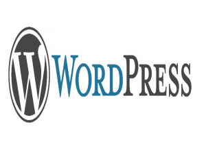 WordPress le meilleur CMS by porjectneom.fr